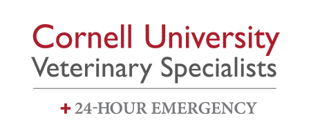 Cornell University Veterinary Specialists